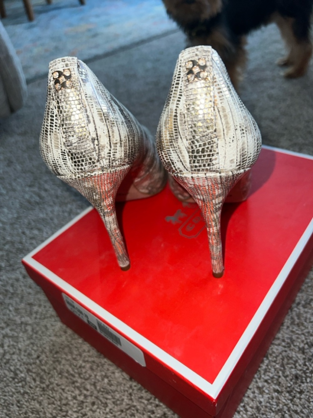 COACH White and Gray Snakeskin-Print Pointed Toe Pumps - Picture 2 of 3